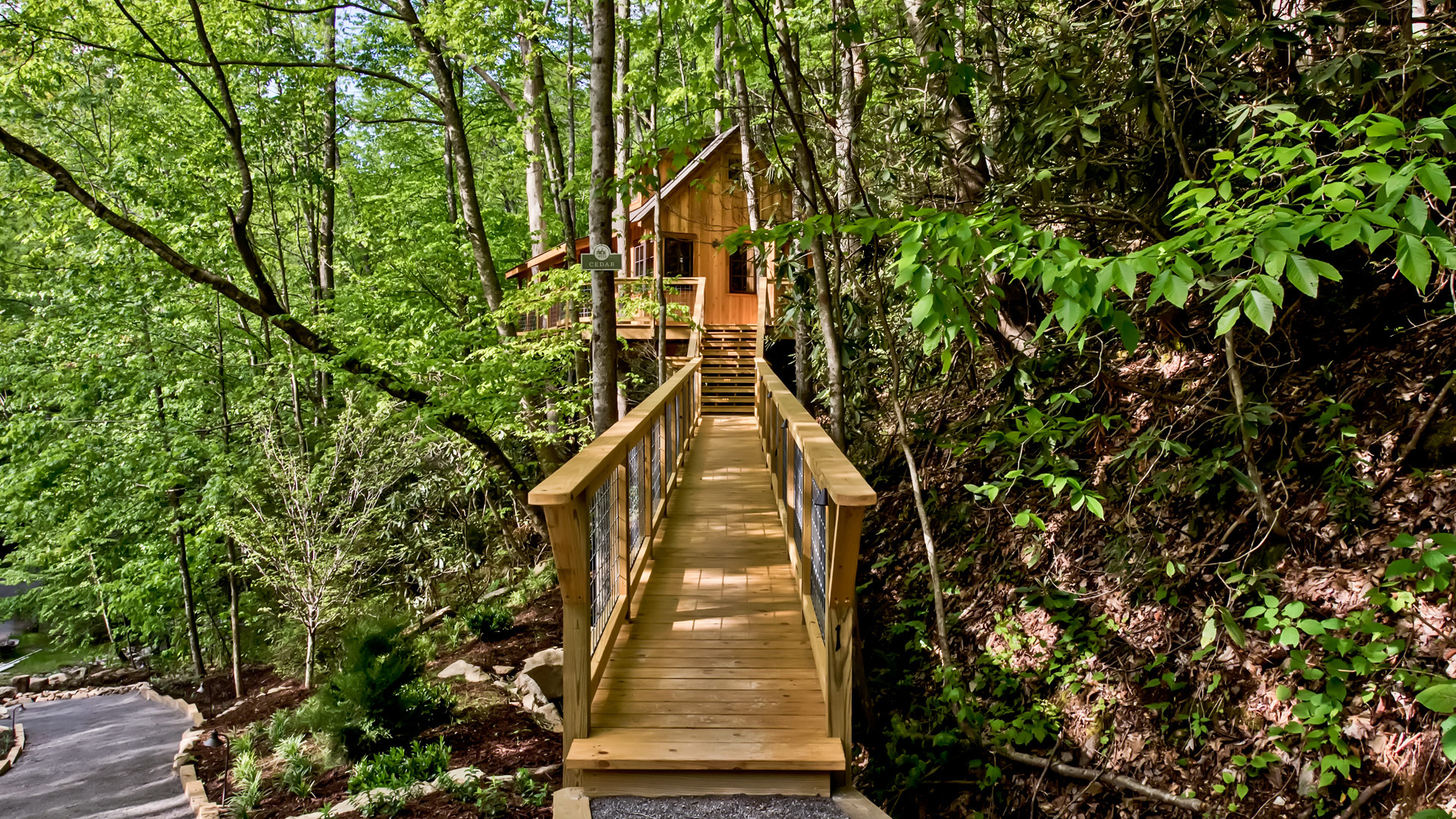 The Cedar Treehouse at Treehouse Grove